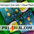 Kamagra Oral Jelly 1 Week Pack cialis5